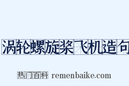 涡轮螺旋桨飞机造句是什么意思的图片